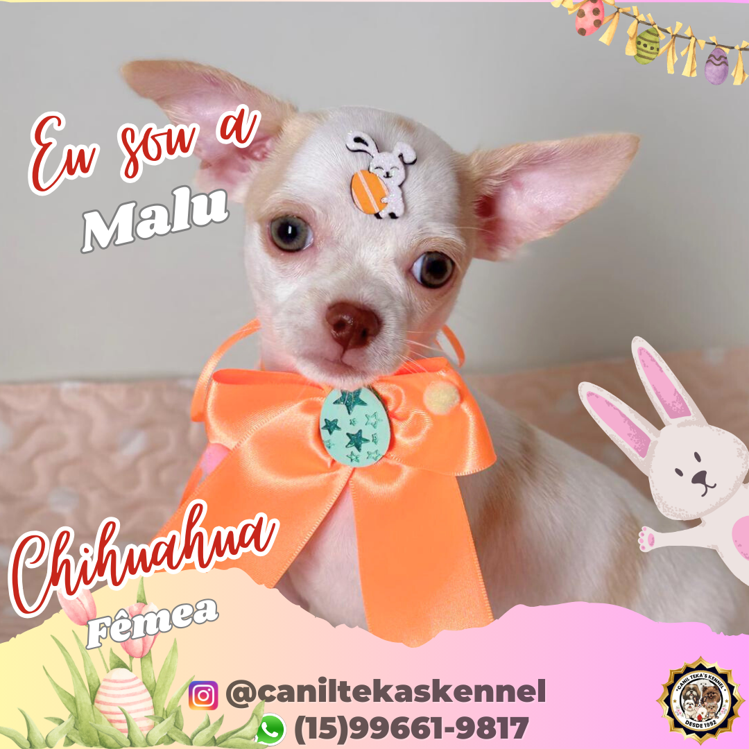 2_20260309_092512_0001