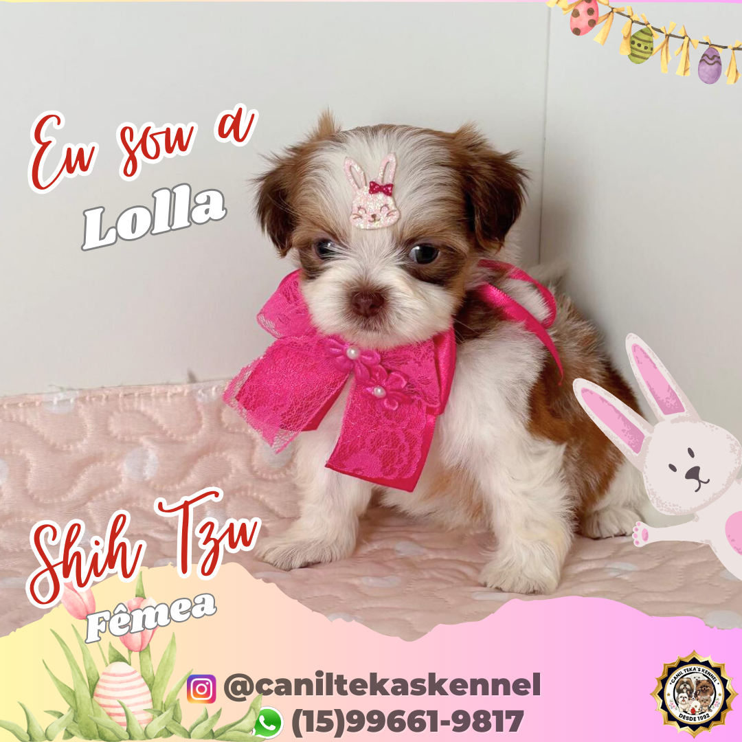 1_20260309_092511_0000